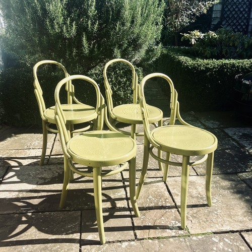 Set four rare thonet chairs - of,