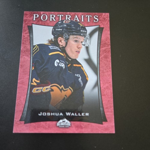 Josh waller portraits - josh,