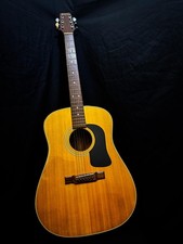 Washburn D12-N Acoustic Guitar