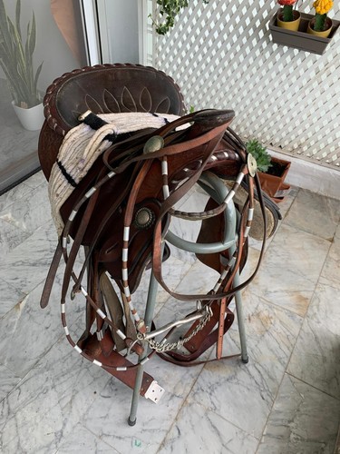 Vintage western pleasure - vintage,