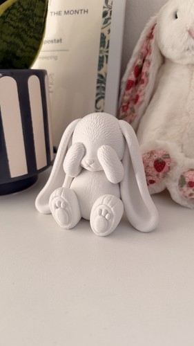 Peekaboo bunny ornament cute - peekaboo,