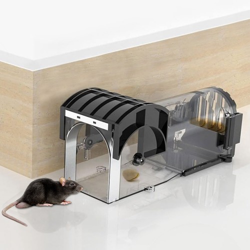 Humane mouse trap - trap, live