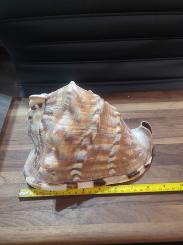Huge vintage king helmet - king,
