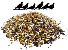 Bucktons Pigeon Conditioner