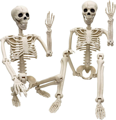 Pack halloween skeleton - skeleton,