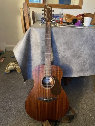 Vintage 300 acoustic - v,