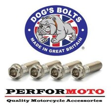 Stainless Steel Hex Head