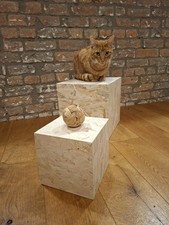 30 cm Wooden Cube Display