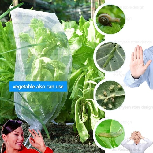 100x fruit protection - fruit, bags