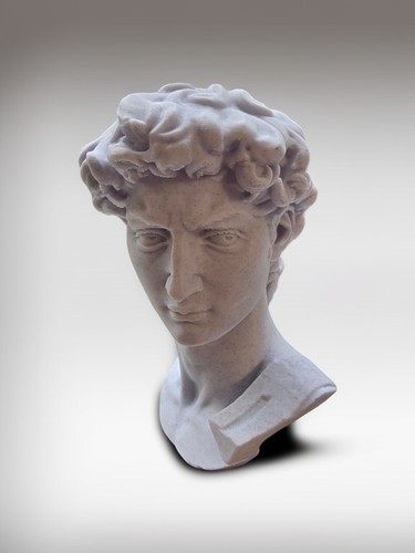 David bust printed - david,