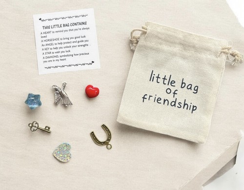 Little bag friendship gift - little,