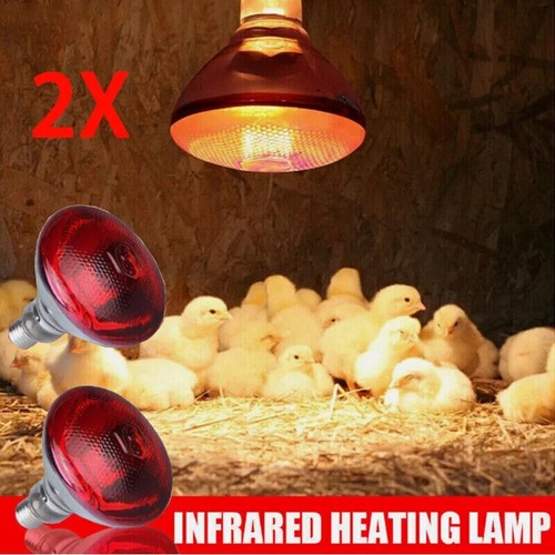 2pcs 250w ruby infrared heat - 250w,