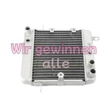 For Honda PS250 Big Ruckus Water Cooler Radiator 2006 19010-KTB-003