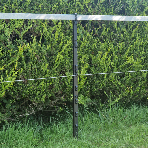 3ft poly post heavy - post,