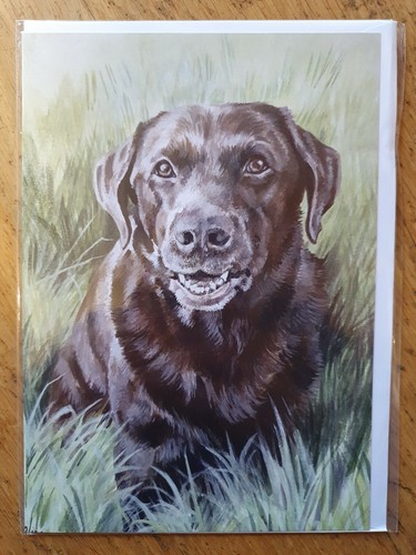 Chocolate labrador greetings - labrador,