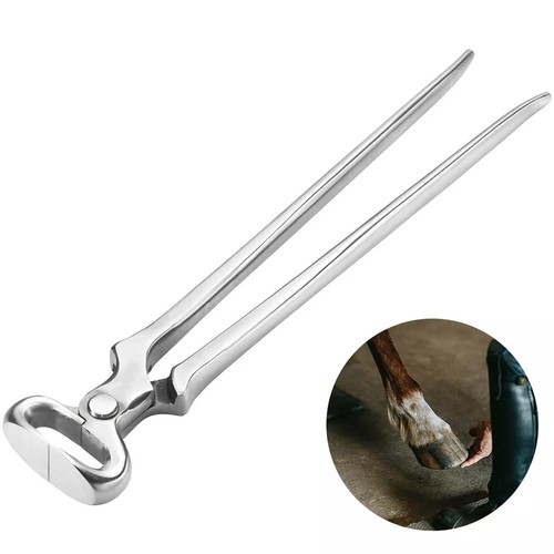 Professional farrier hoof - professional,