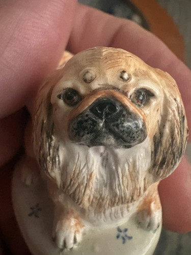 Miranda smith pekingese dog - miranda, c