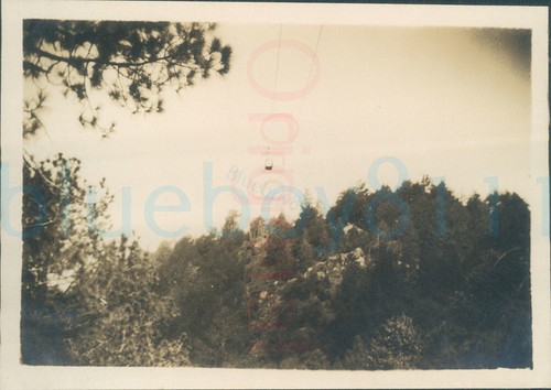 1929 photo murree timber - ,