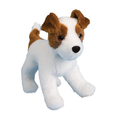 Douglas feisty jack russell - douglas,