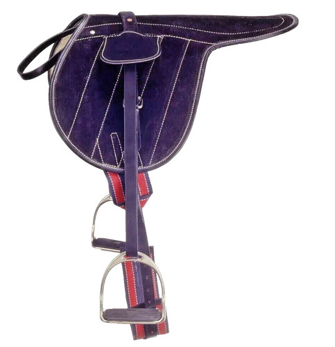 New suede race horse excercise - race,