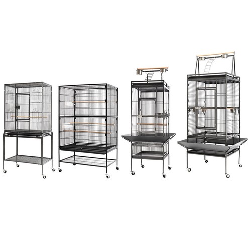 Bird cage play open - bird,