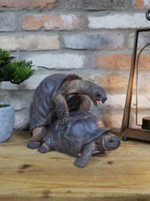 Naughty Tortoises Garden