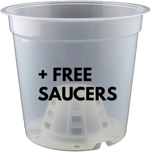 Clear orchid plant pots - clear,