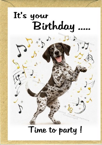 German shorthaired pointer - german,