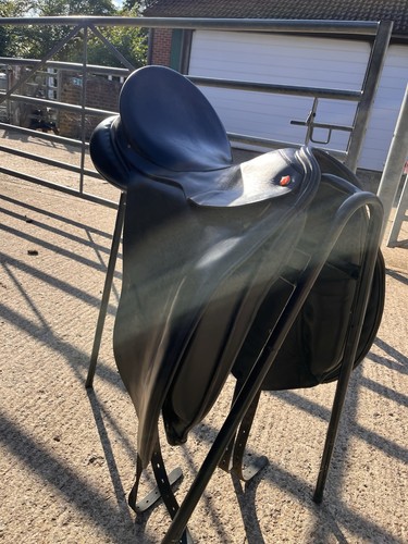 Albion slk dressage - slk,