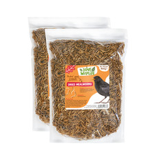 Love Wildlife Dried Mealworms