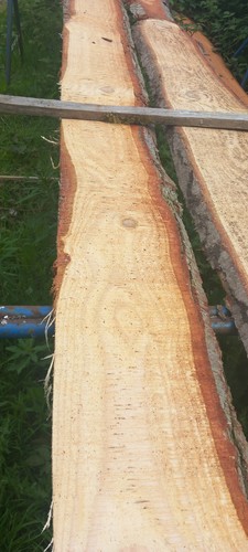 Timber cladding waney edge - ,waney,