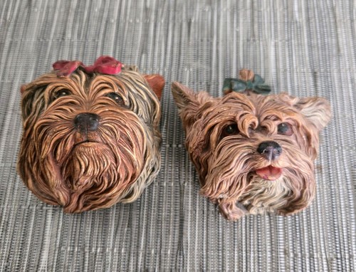 Bossons yorkshire terriers - 2x,