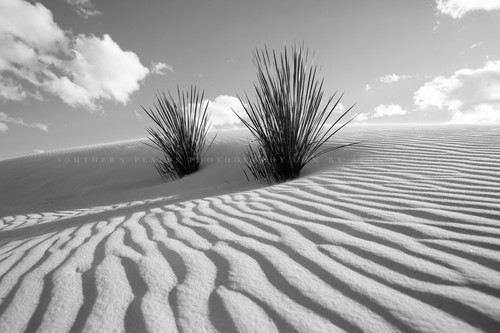 White sands photography print - white,