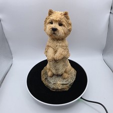 Victor Griffiths Cairn Terrier
