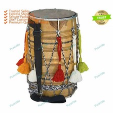 Festivity Musical Punjab