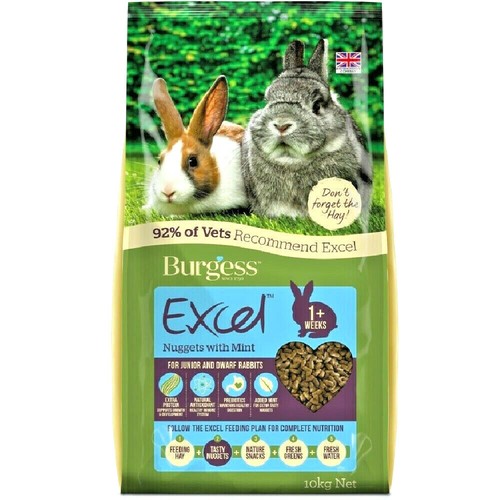 Excel rabbit junior dwarf - &,