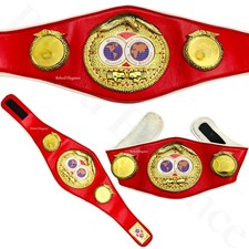 IBF World Boxing Champion