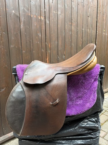 Horse pessoa jump - horse,
