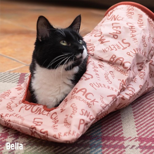 Cat tunnel toy crinkle - cat, hide