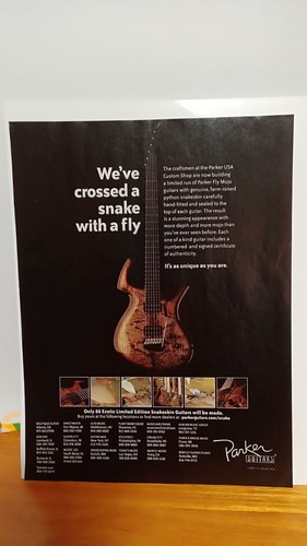 Parker fly guitar - guitar, print