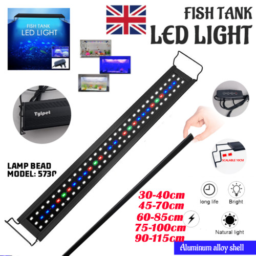 Aquarium fish tank - fish, led