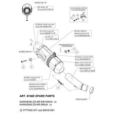 Muffler LeoVince silencer