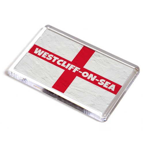 Fridge magnet - magnet,
