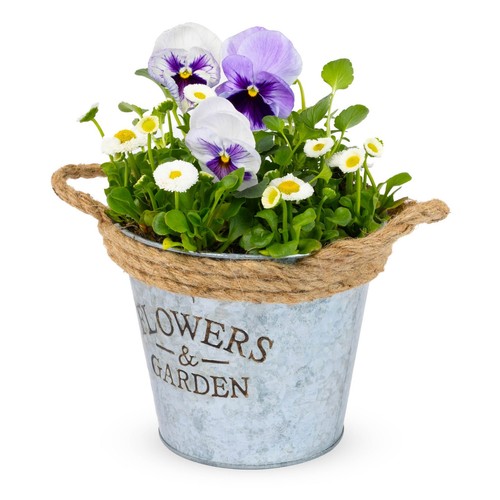 Livivo 16cm zinc plant pot - zinc,