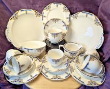 Lovely 22 piece, 6 person -