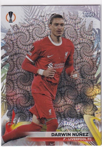 Topps champions league 2024 - champions,