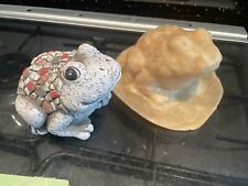 Rubber Latex Mould mold Mosaic Toad Garden Pond Ornament Casting Craft Frog
