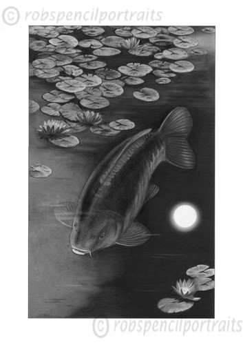 Moonlight mirror carp - moonlight, fishing