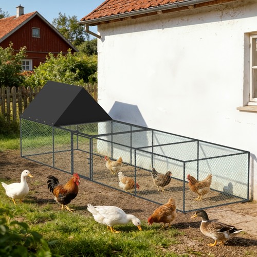 Premium chicken coop - chicken,