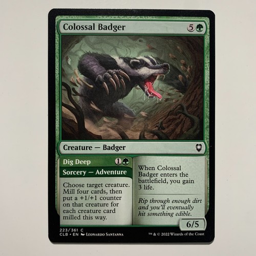 Colossal badger dig deep - dig,